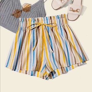 Paperbag Waist Striped Shorts